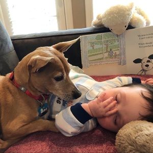 The Art of Bargaining